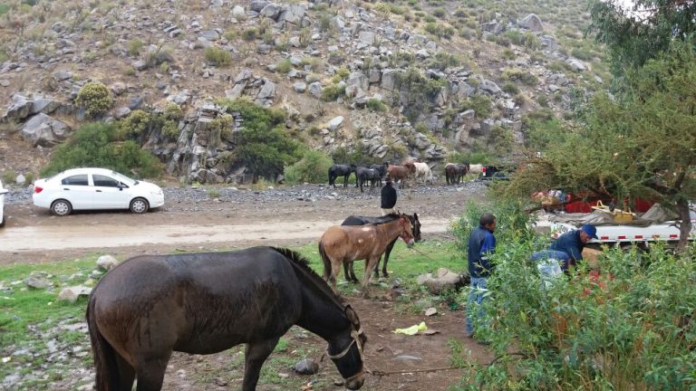 51 personas aisladas por crecida de río en Salamanca