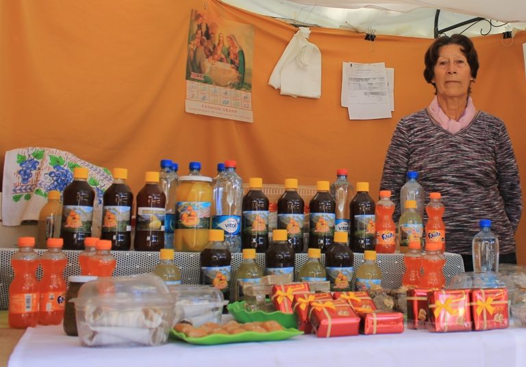 La novedosa oferta de productos que presentan mujeres emprendedoras en la plaza de Ovalle