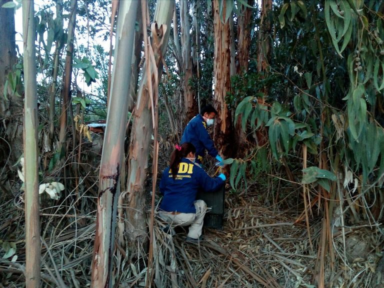 Encuentran cadáver a un costado de la ruta D-43