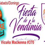 flyer vendimia
