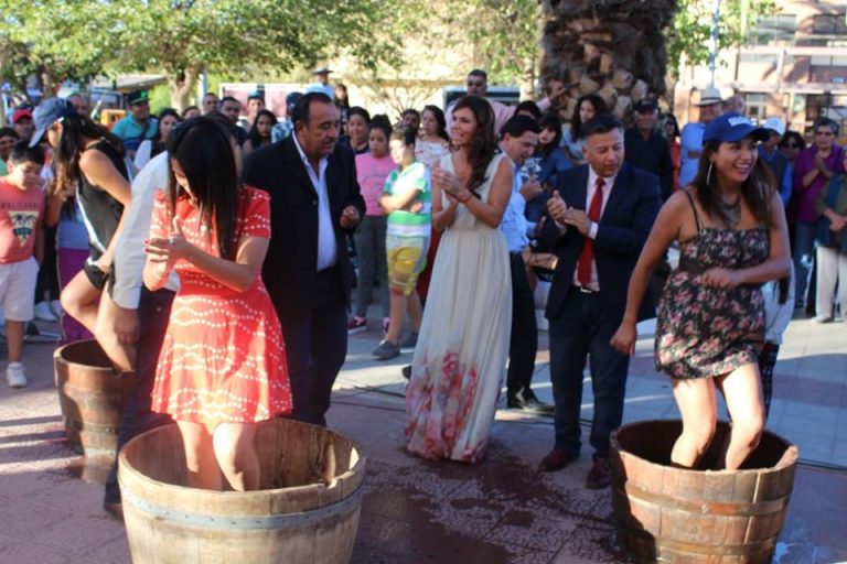 Otro exitoso año de la fiesta de la vendimia en Punitaqui