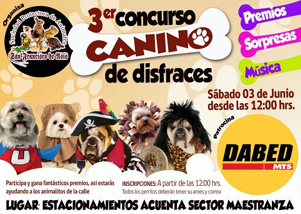 Invitan a todos los perritos ovallinos a concurso de disfraces