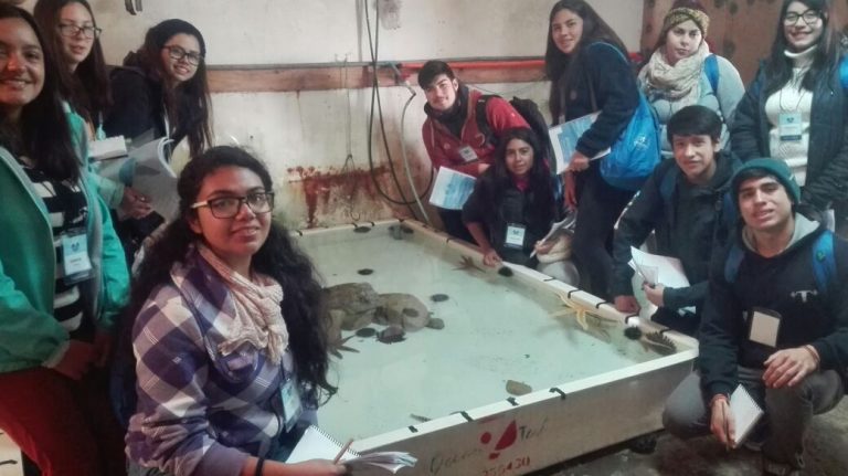 Alumn@s ovallinos son parte de importante campamento científico