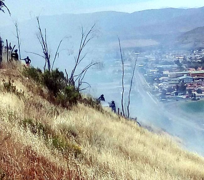 Incendio de pastizales: Un largo y ardiente verano aguarda a bomberos