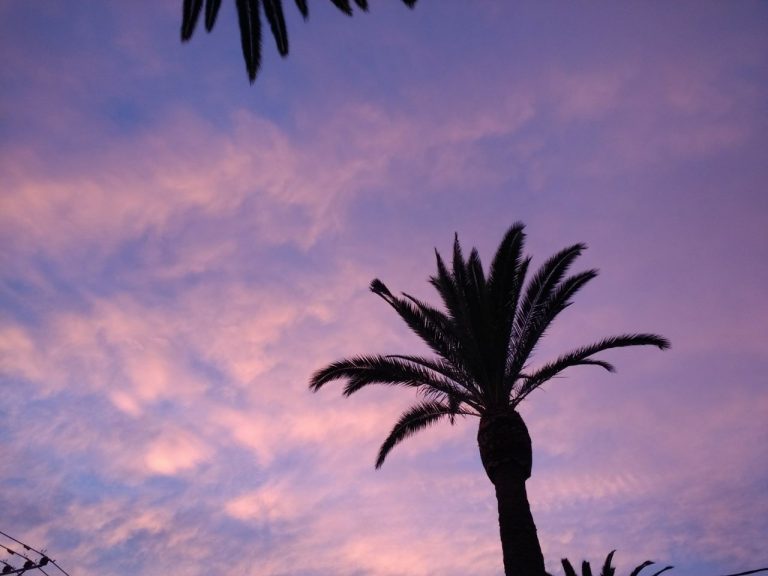 Ovalle tierra de dulces atardeceres