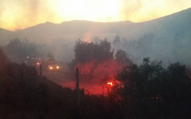 Alerta Amarilla en Río Hurtado por incendio forestal que afecta a Fundo El Carmen