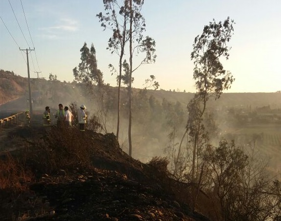 Incendio de pastizales en La Chimba rebrota sospechosamente