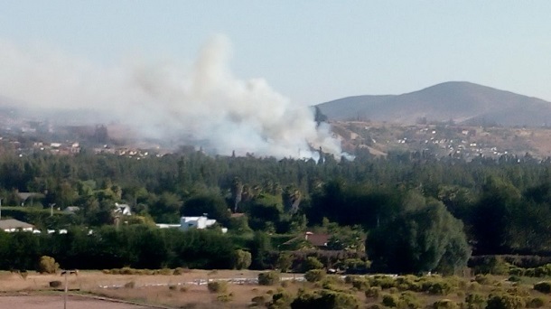 Más de cuatro horas trabajó bomberos en incendio de pastizales