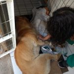 28-5-2018toño