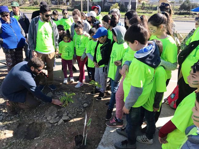 Familias ovallinas ayudan a forestación de la Avenida Costanera