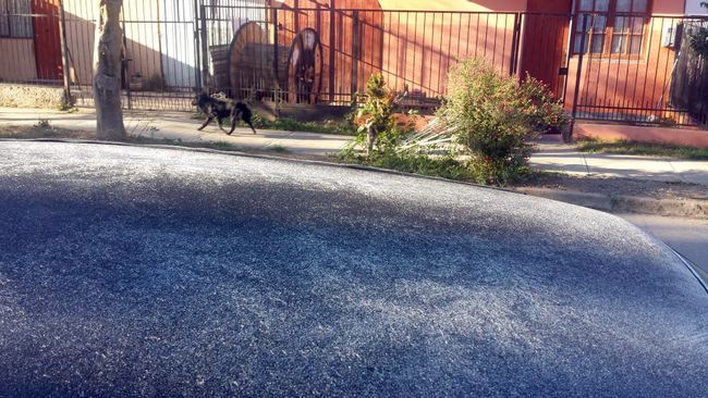 Temperaturas bajo cero anuncian para el sábado en la provincia del Limarí