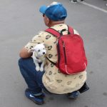 18-08-2018 FERIA MASCOTAS10