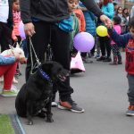 18-08-2018 FERIA MASCOTAS8