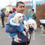 18-08-2018 FERIA MASCOTAS9
