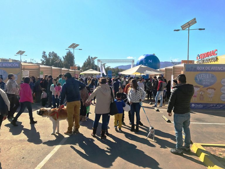 Este sábado será la Segunda Feria del Bienestar Animal en Ovalle
