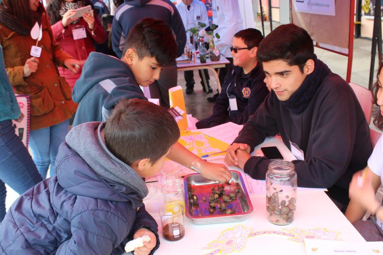 Estudiantes potencian investigación con caracoles para saber efecto de las drogas en humanos en feria científica