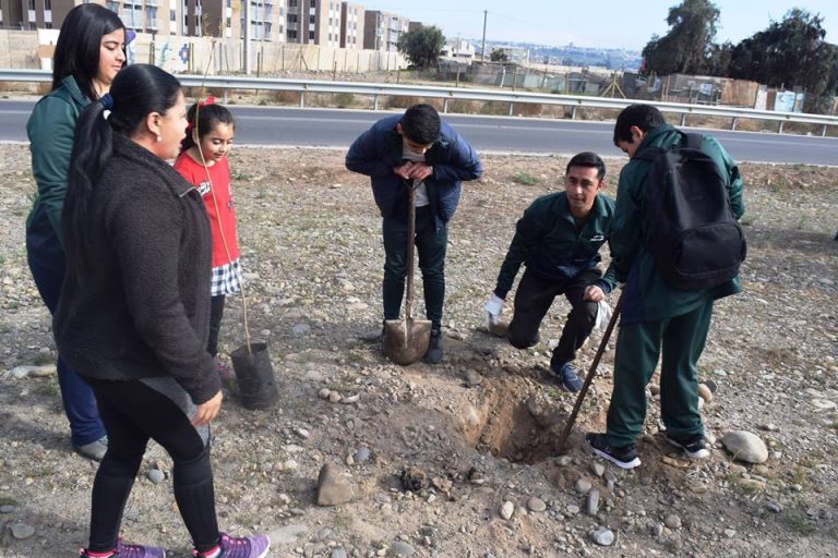 Costanera de Ovalle se transforma en un pulmón verde de la ciudad
