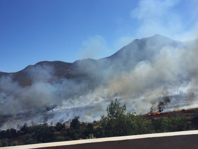 Incendio forestal destruye una hectárea de árboles y matorrales