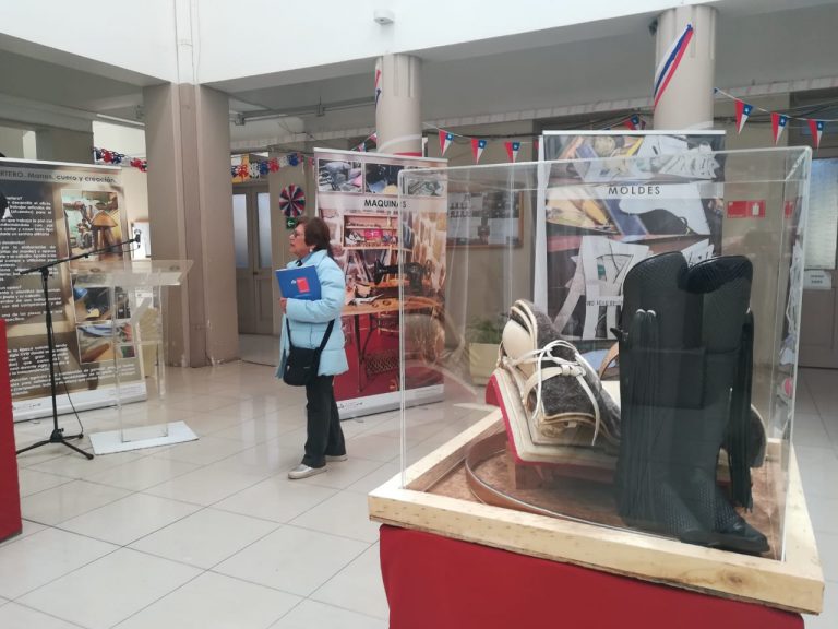 Muestra «Talabartero: Manos cuero y creación» es exhibida en hall de municipio de Ovalle