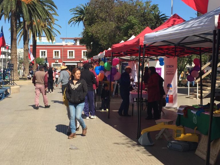 Ovallinos pudieron resolver dudas en Feria de Seguridad pública en Plaza de Armas