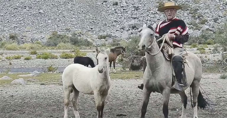 El Consa Pérez