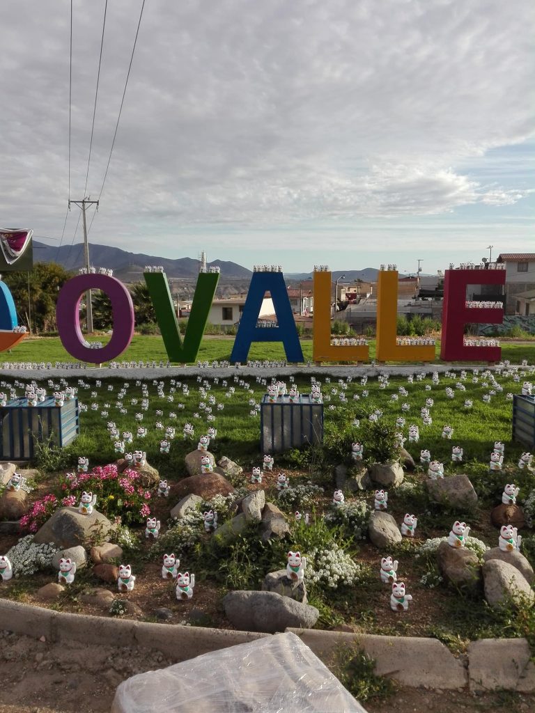 FotoNoticia: Cientos de gatos de la suerte sorprenden en letrero de Ovalle