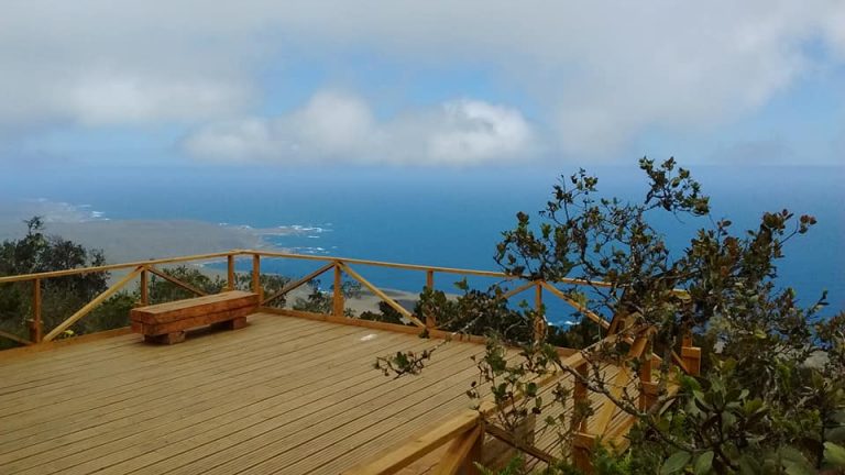 El jueves 8 de noviembre Parque Fray Jorge cerrará sus puertas