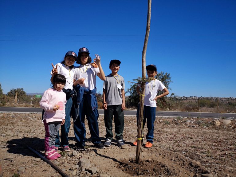 Estudiantes ovallinos participan en jornada de arborización en la Costanera