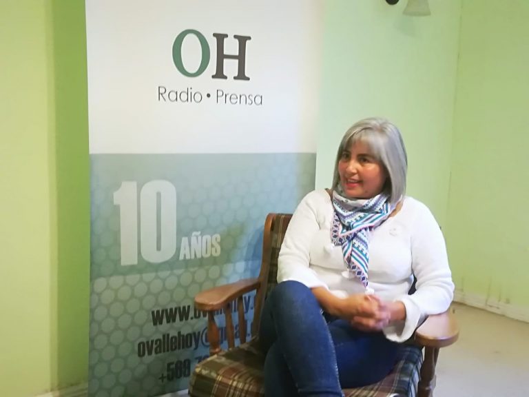 Ivon Guerra, seremi de la mujer: Hoy día es fundamental lograr que las mujeres tengan autonomía económica
