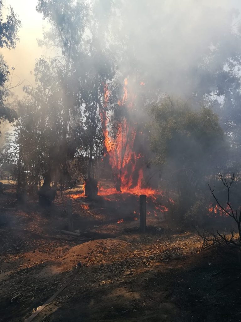 Se declara Alerta Temprana Preventiva para la Región de Coquimbo por amenaza de incendio forestal