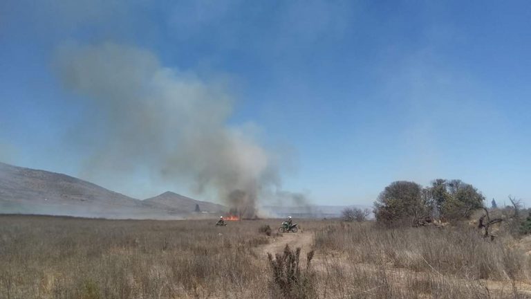 [Ahora] Bomberos acude a incendio de pastizales en localidad de Sonora