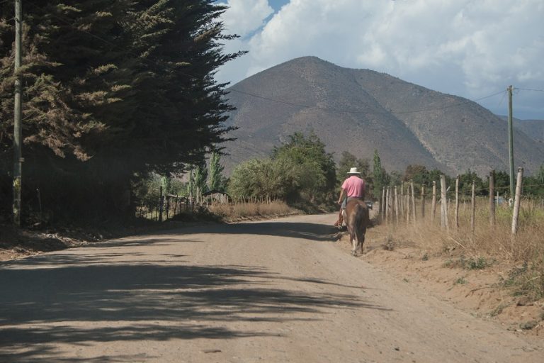 Seminario espera analizar los desafíos que enfrenta el desarrollo rural en la región