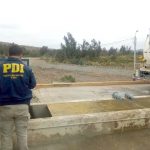 03 – 04 – 19 pdi