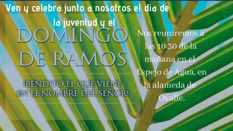 Vicaría del Limarí invita a jóvenes de la zona a celebrar el día Mundial de la Juventud  y el Domingo de Ramos