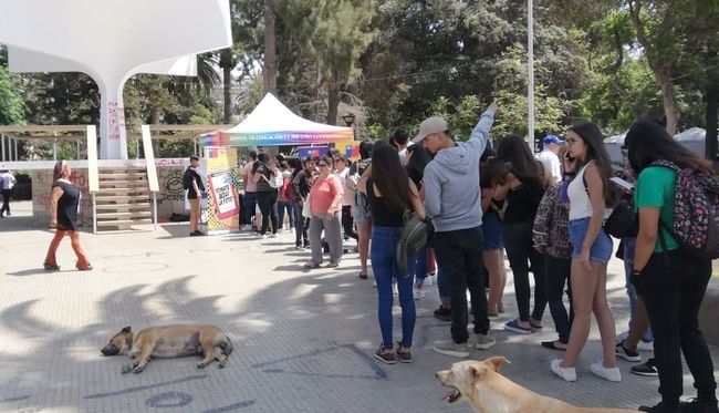 Cientos de jóvenes hicieron fila en la plaza de Ovalle para renovar su TNE