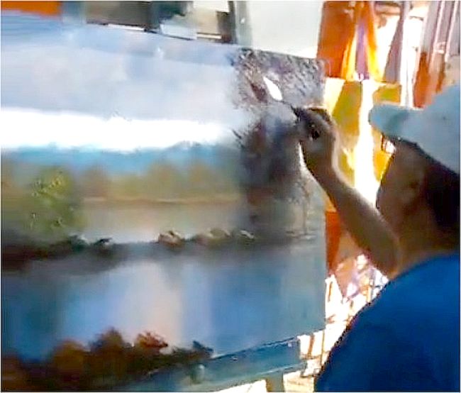 Conocido pintor ovallino rifa cuadro para concurrir en ayuda de la madre de su esposa