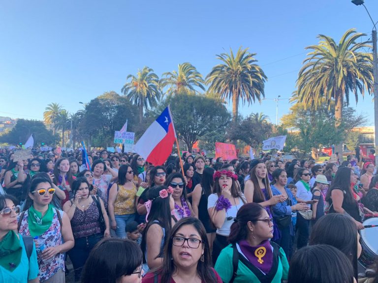 Galería de Fotos: Las imágenes que dejó la Marcha del 8M en Ovalle
