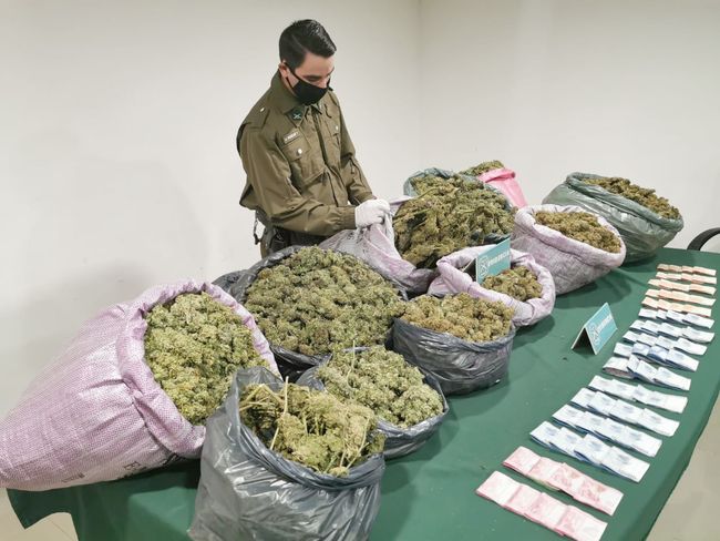 Se cumple lo de “Abril, cogollos mil”: detienen a dos mujeres e incautan marihuana