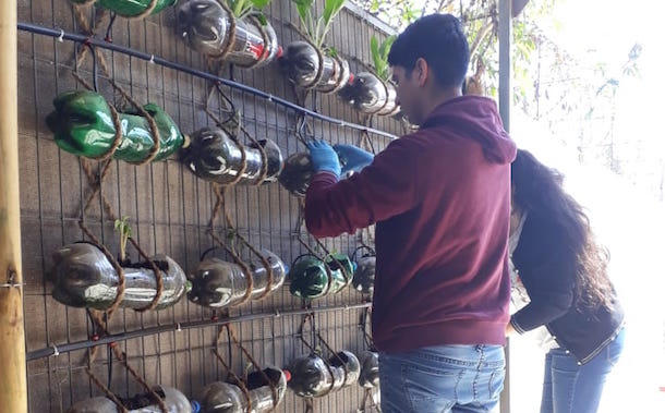 Estudiantes del Colegio Dalmacia realizan acciones medioambientales desde sus hogares