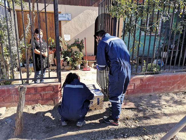 En Ovalle serán entregadas más de 30 mil cajas de alimentos