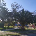 Cobresal