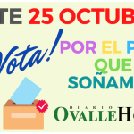 Banner plebiscito (1)