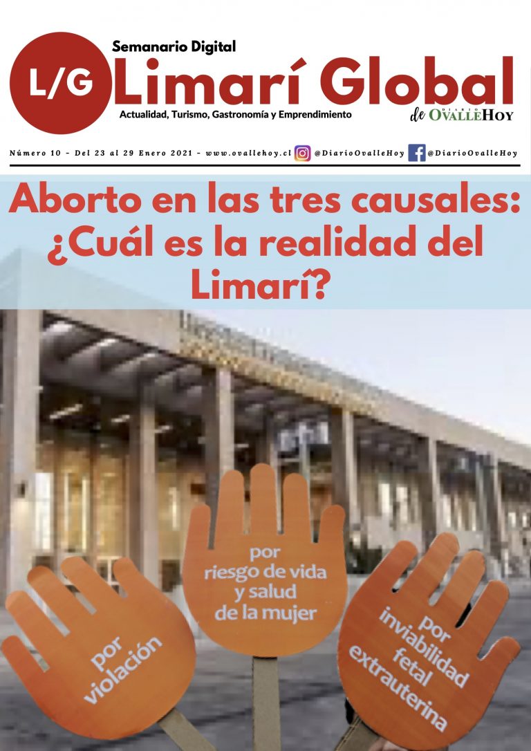 Limarí Global Nº10