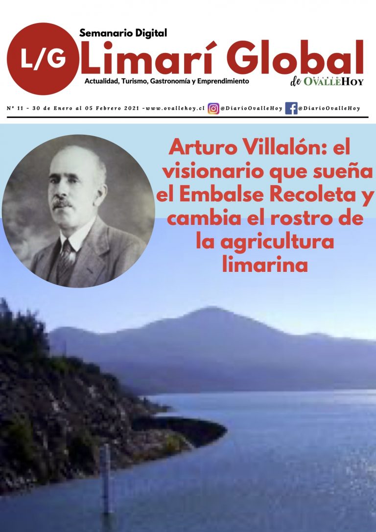 Limarí Global Nº11