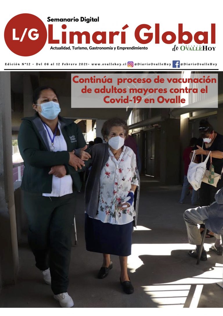 Limarí Global Nº12