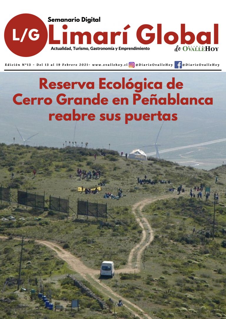 Limarí Global Nº13
