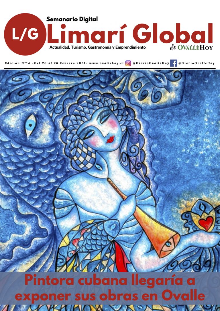 Limarí Global Nº14