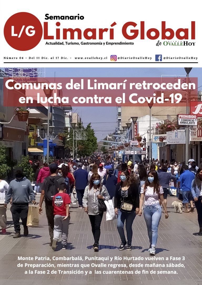 Limarí Global Nº4