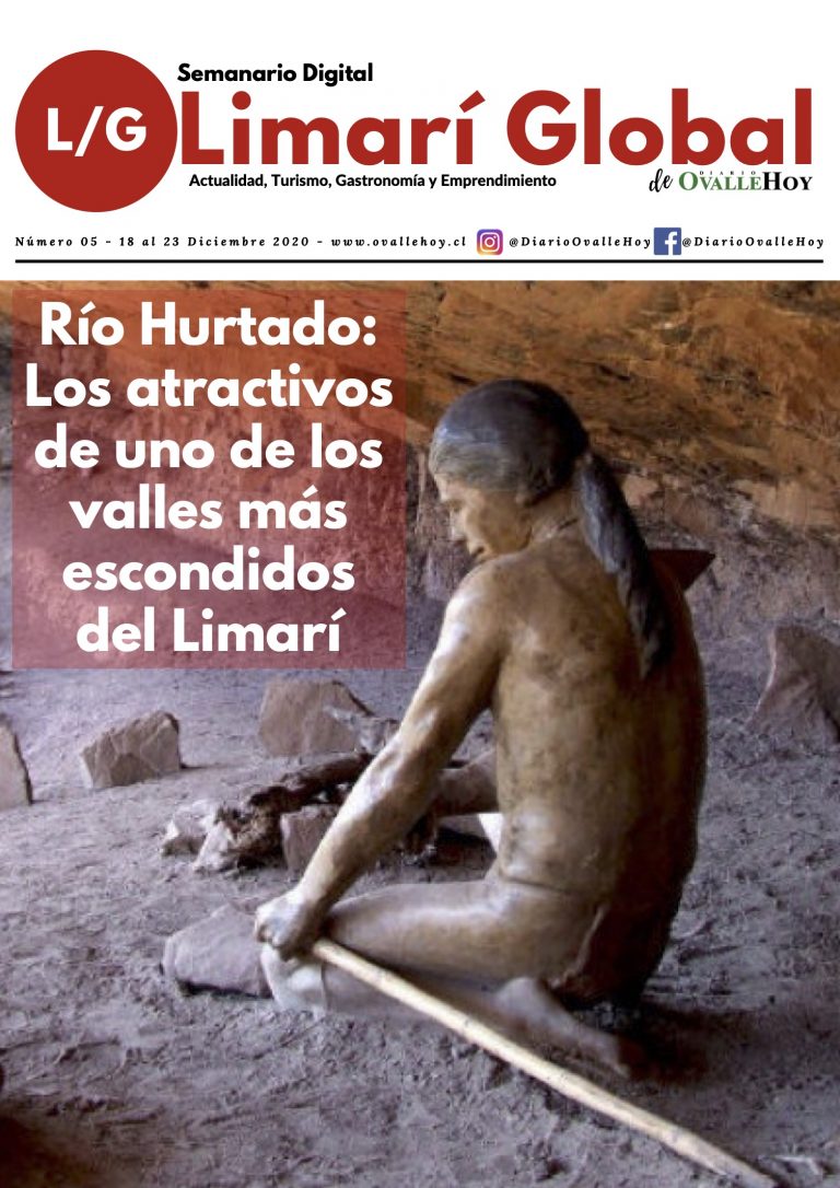 Limarí Global Nº5