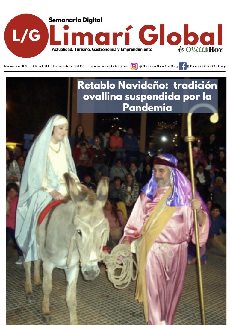 Limarí Global Nº6
